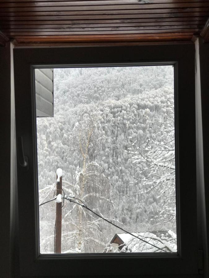Kuca Za Odmor ,,Balkan” Crni Vrh Extérieur photo