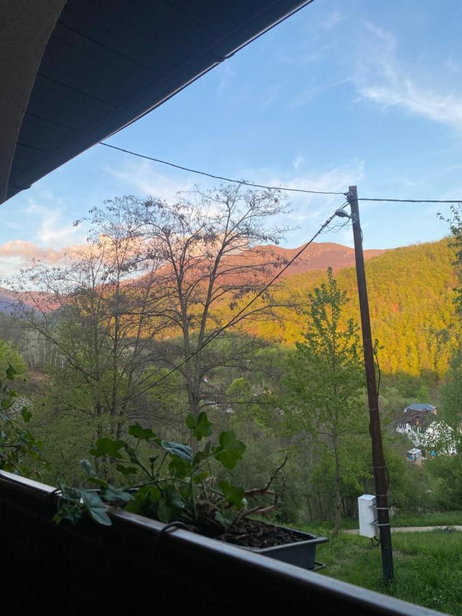 Kuca Za Odmor ,,Balkan” Crni Vrh Extérieur photo