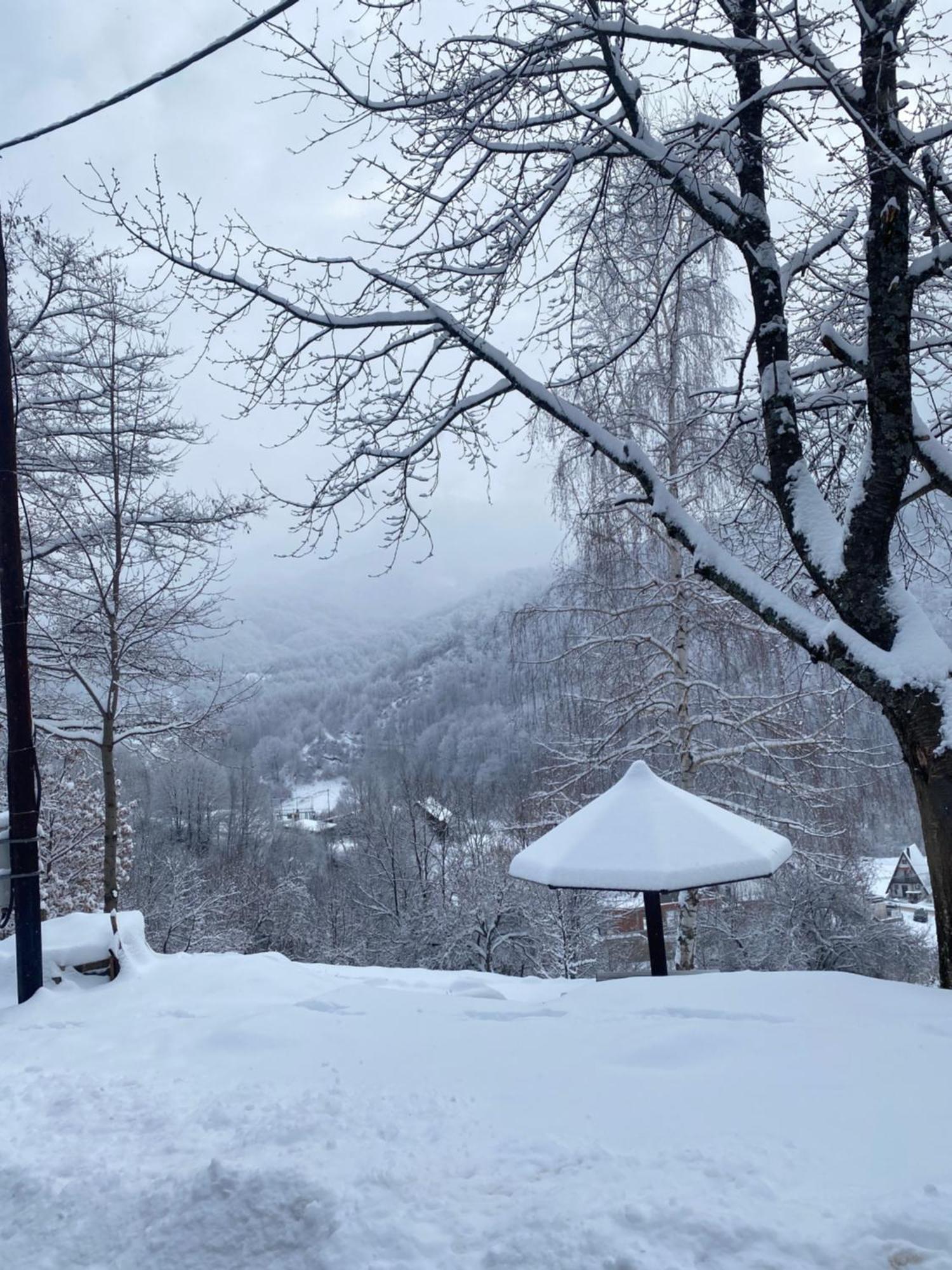 Kuca Za Odmor ,,Balkan” Crni Vrh Extérieur photo