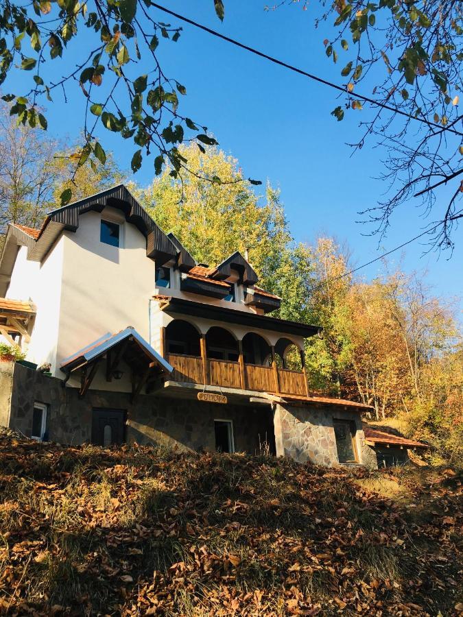 Kuca Za Odmor ,,Balkan” Crni Vrh Extérieur photo